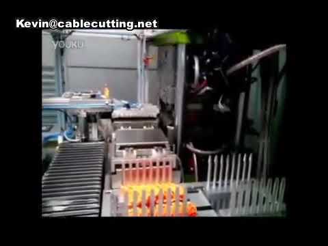 C type Vertical Plastic Injection Moulding Machine,Injection Moulding Machine