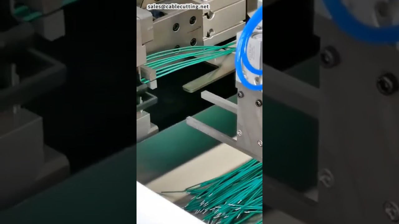 Electronic Wire Dual Head Dip Tinning Machine