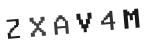 Verification Code Image